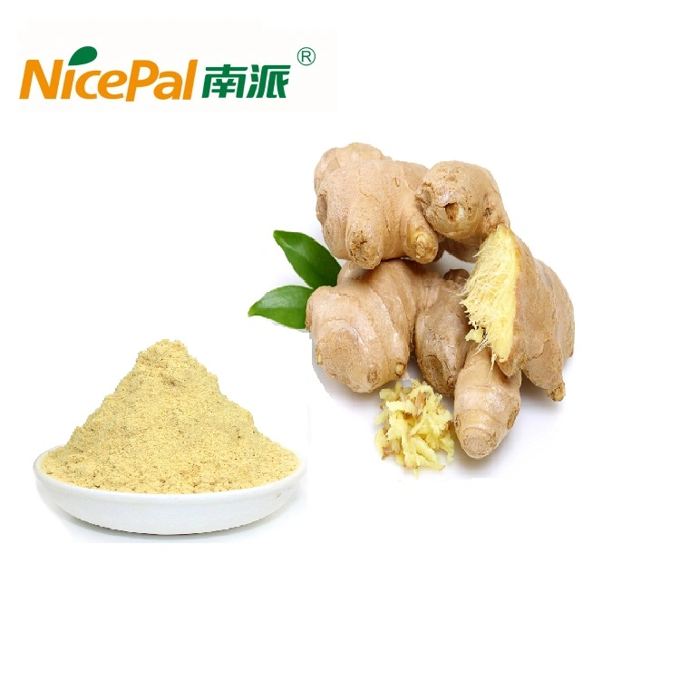 100% Natural Fruit Powder Top Grade Ginger Extract Powder Ginger Powder