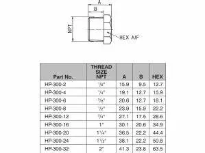 2" Square Head Plug NPT Threaded Material to ASTM a 105 N Dimensions to ASME B 16.11 Class 2000 Lb Galvanized