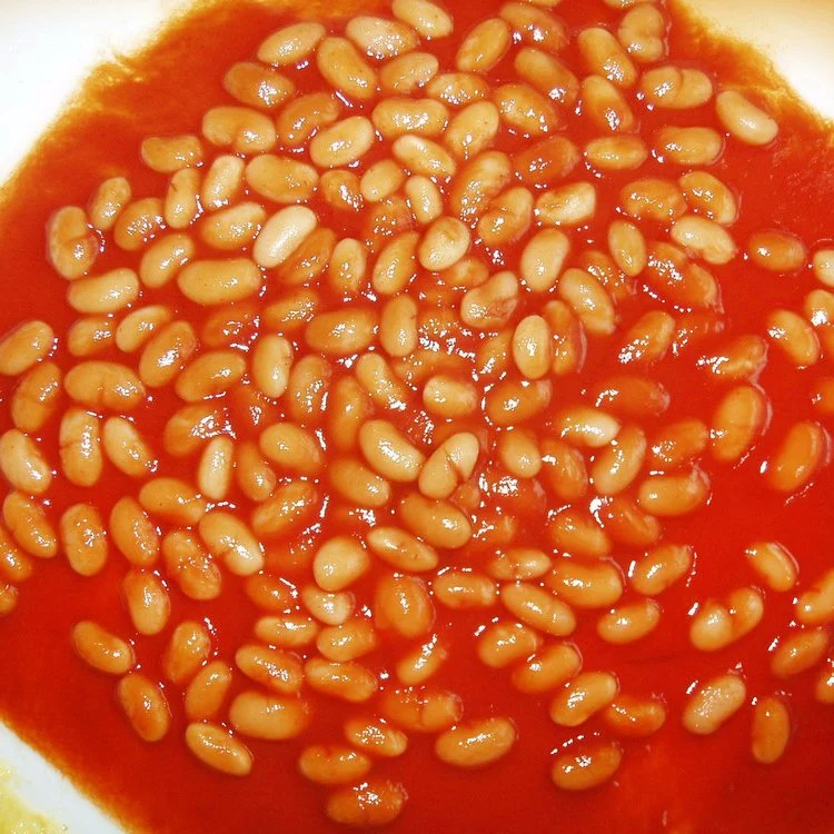 Canned White Kidney Bean/Baked Bean in Tomato Sauce