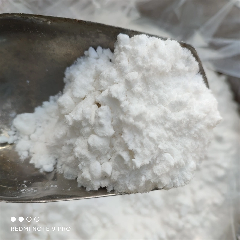 Agent de conservation des aliments de haute qualité Butylparaben Sel de sodium CAS 36457-20-2 à partir de fournisseur chinois