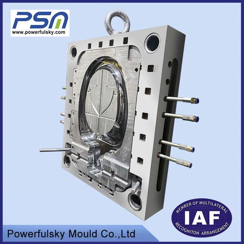 Plastic Die Casting Injection Moulding Is a Type of China Factory Price Multi-Cavity Stainess Steel Plastic Injection Mould Molded Plastic Products