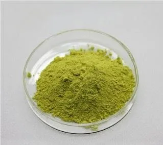 Natural and High quality/High cost performance Extract Rutin 95%