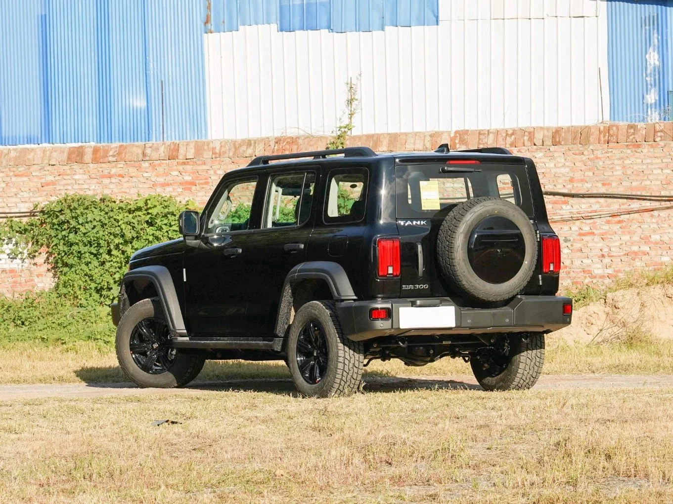 Tank 300 2023 off-Road Version 2.0t Challenger Compact SUV