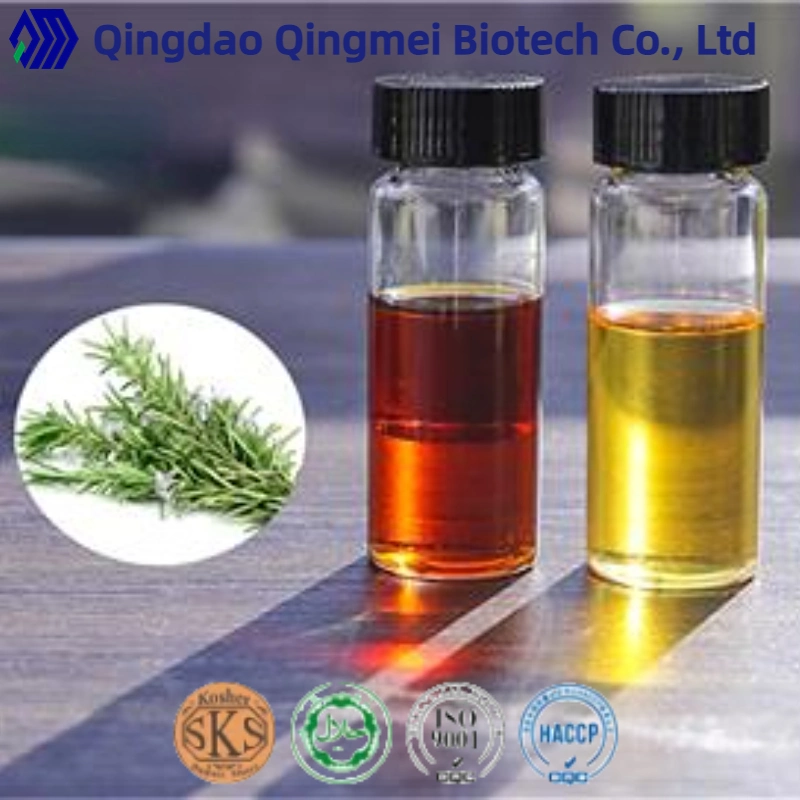 Herbal Extract Natural Sage Extract Organic Carnosic Acid Oil