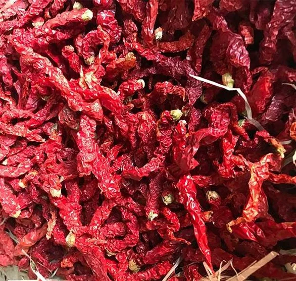 High quality/High cost performance Red Dry Xian Chill Long Pepper Cheap Price Chilli Products Factory HACCP/ISO/Brc/Kosher Certificates