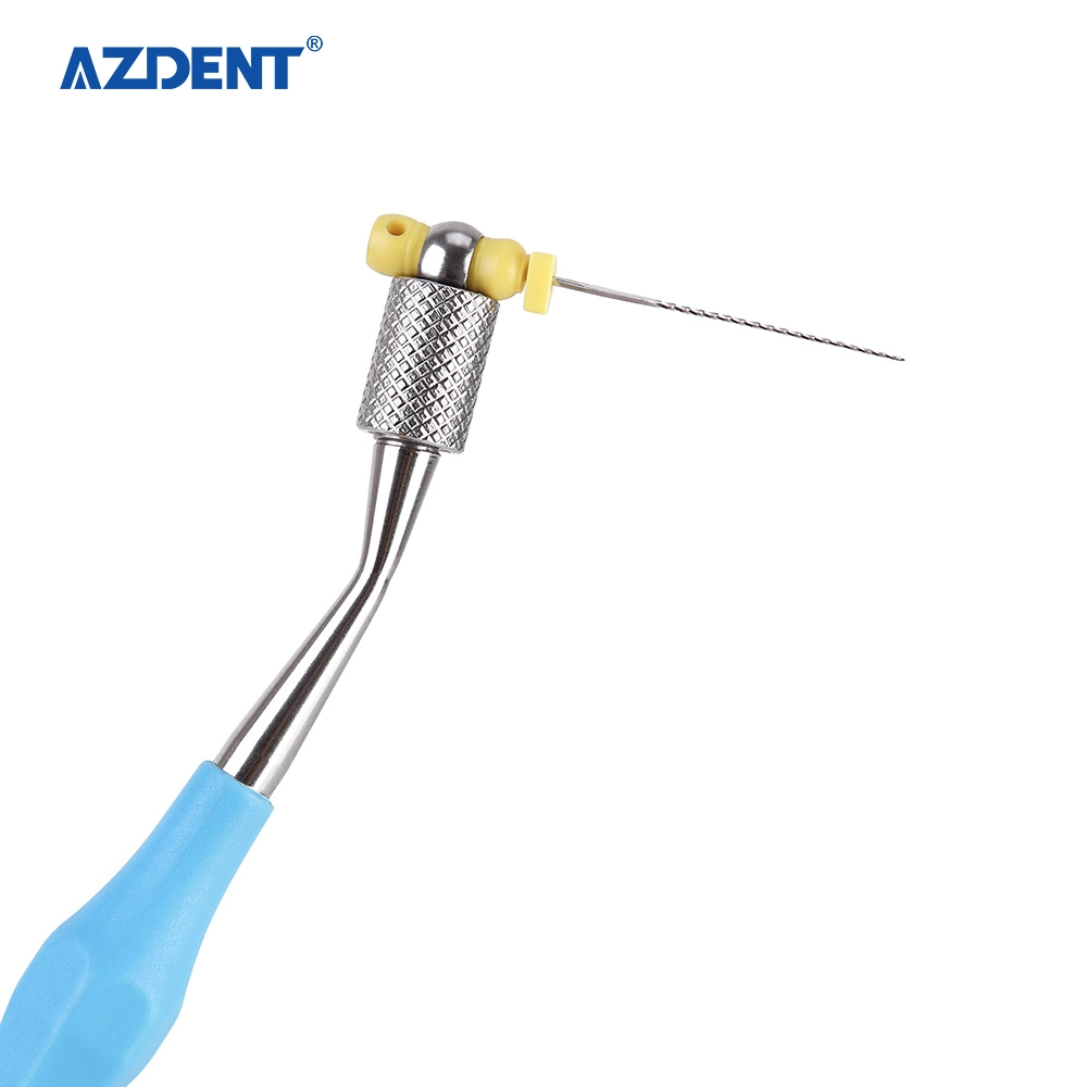 High quality/High cost performance  Dental Material Endodontic Cleaning Hand File Holder