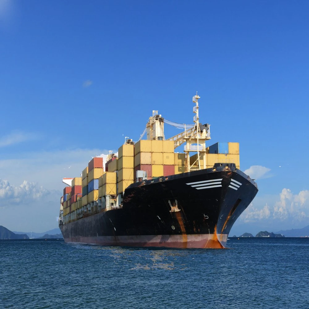 Sea Freight Rates Best Shipping Agent From Shenzhen to Europe with Door to Door Services