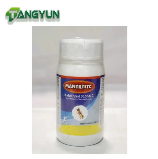 Termiticide with Strong Effect Imidacloprid 30.5%Sc 35%Sc for Philippiness Pest Control