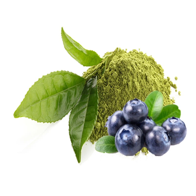 Bio Matcha Blueberry naturel chinois de la saveur des ingrédients du thé vert matcha Poudre d'âge de la Chine avec divers