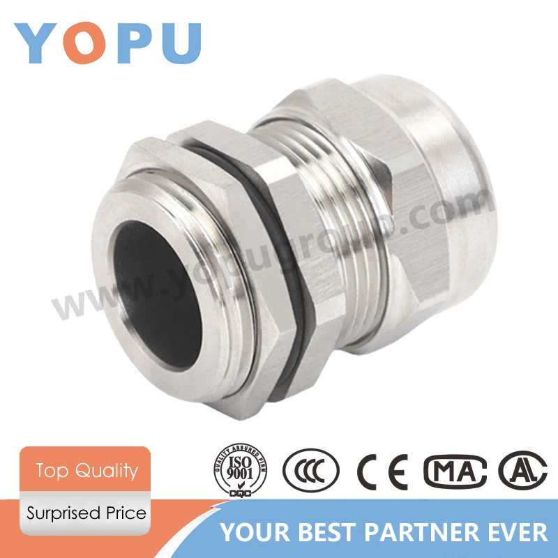 IP68 Waterproof Multiple Hole Pg7-Pg63 M8-M100 Thread Size Cable Gland Brass Metal Cable Glands