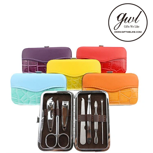 Manicure Set Nail Tool Nail Manicure Set Nail Bag (BH-032)