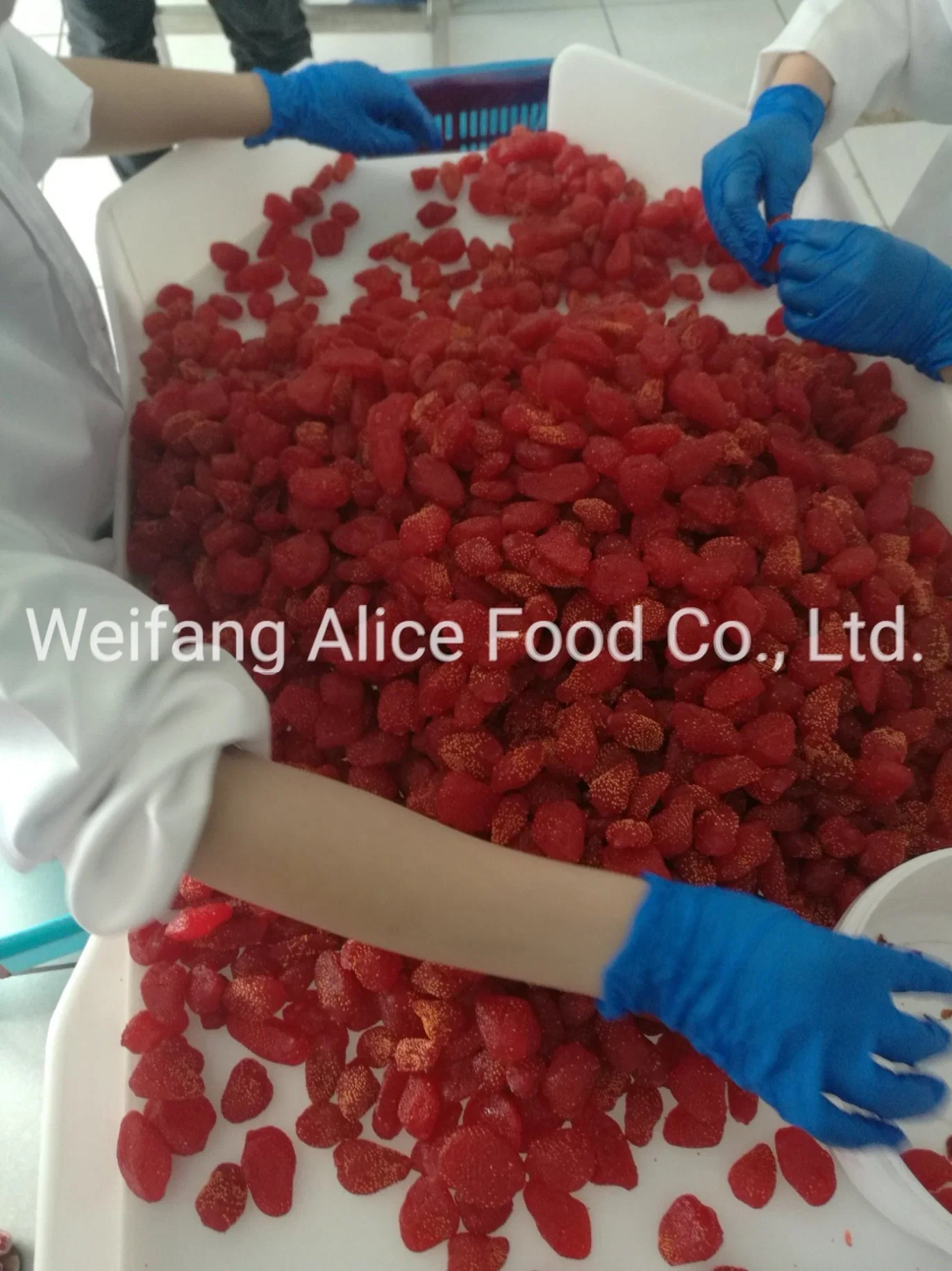 Factory Directly Sale Fruits Snacks Supplier Wholesale/Supplier Candied Dried Strawberry