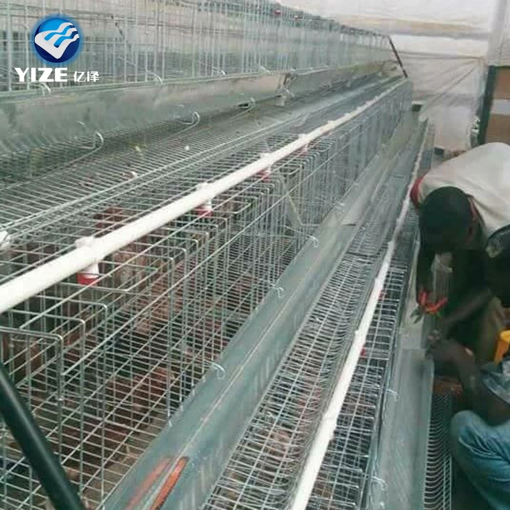 Manufacture Hot Sale Tanzania Chicken Farm Layer Cage System in Poultry