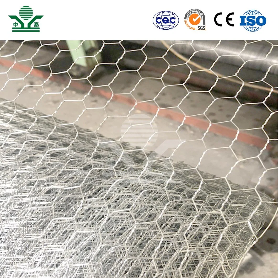 Zhongtai PVC Coated Hexagonal Wire Netting China Manufacturing 3/8 Inch Galvanized Chicken Wire Mesh Used for Green Coated Chicken Wire Fencing