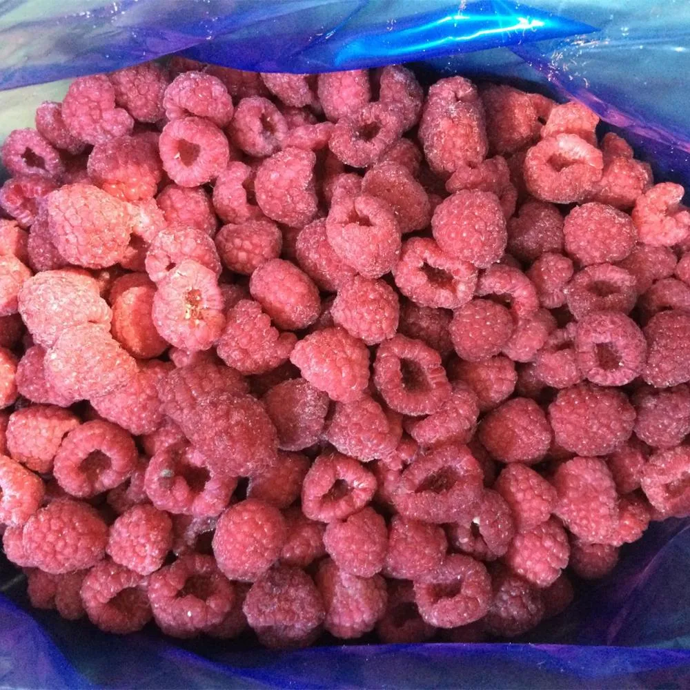 Frozen Fruits IQF Raspberry Whole