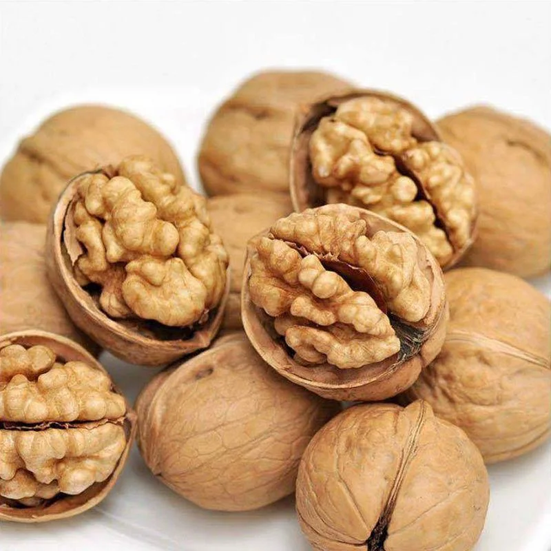 Walnut in Shell Factory Sale Good Price