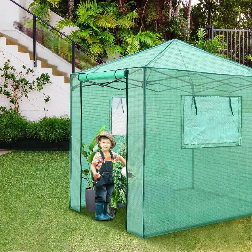 Portable Easy Setup Walk-in Greenhouse for Indoor Outdoor