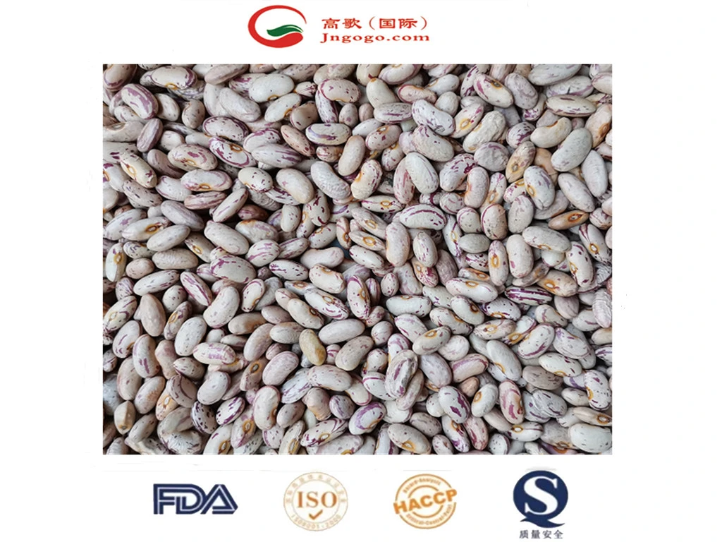 Chinese New Crop Light Speckled Kidney Bean