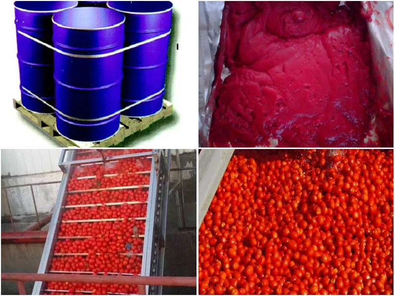 ISO Certificated Xinjiang High quality/High cost performance Tomato Paste Brix 28-30%/36-38%/30-32% Hb&CB