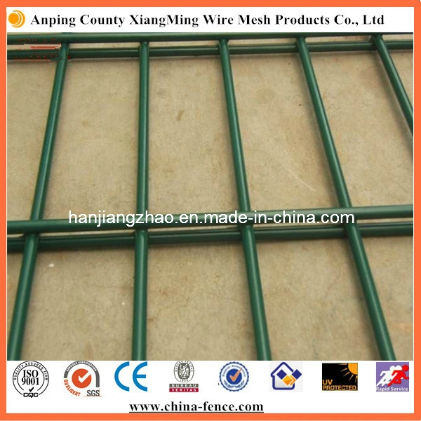 Quality Welded Powder Coated Steel 656 Double Wire Mesh (XMM-WM1)