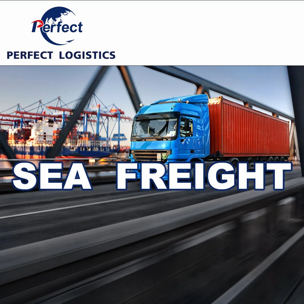 Air Ocean Sea Shipment Logistics Shipping Service Air Cargo Service Air Shipping Freight From China to South America