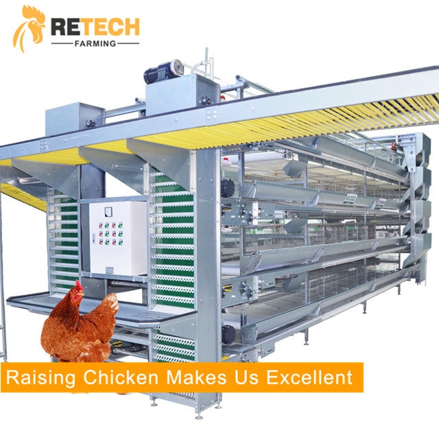 High Quality Livestock H Type Poultry Farm Layer Chicken Cages