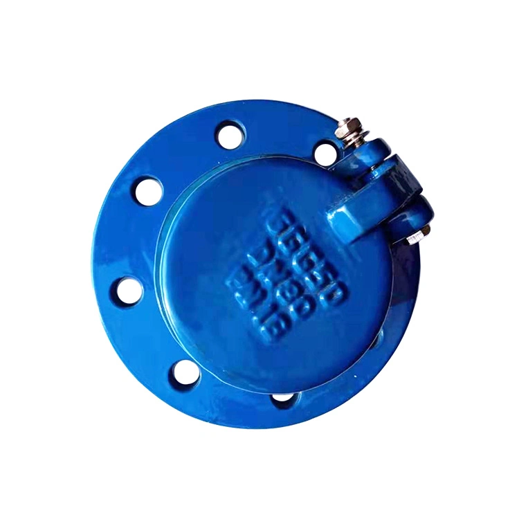 DN80 Pn10 Ductile Cast Iron Flanged Flap Type Check Valve Manufacturer