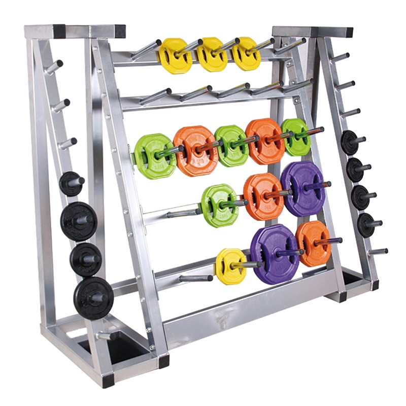 Hot Sale Dumbbell Weight Plate Rack for Rugular Diameter