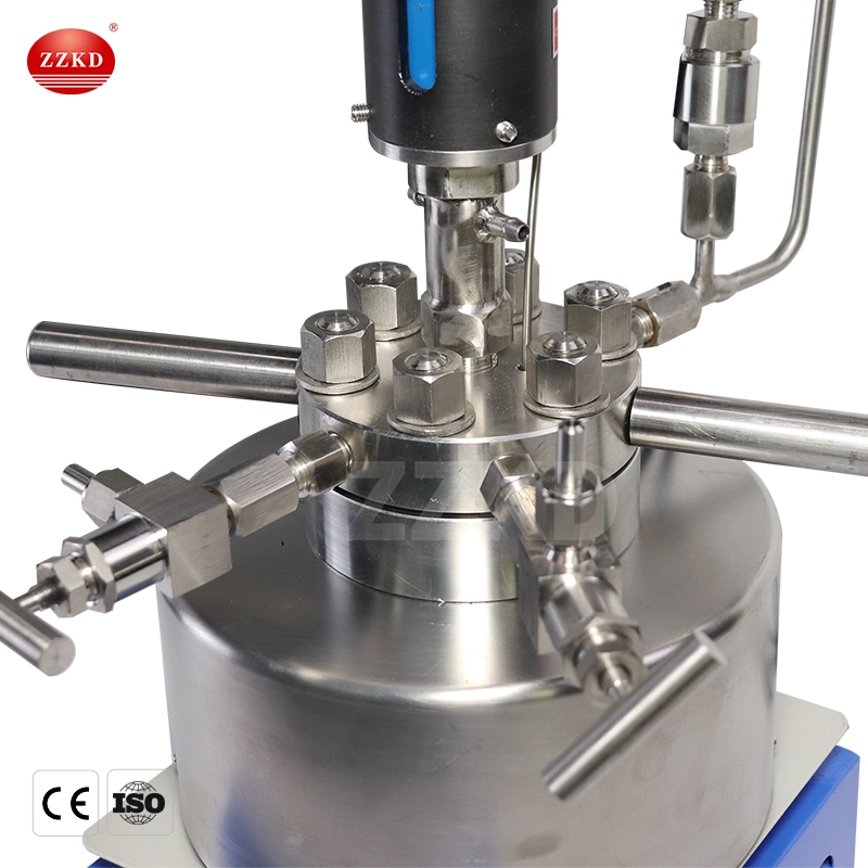 CE 50ml~500ml Lab Table Top Chemical Magnetic Stirrer Autoclave High Pressure Reactor Autoclave Equipment for Sale