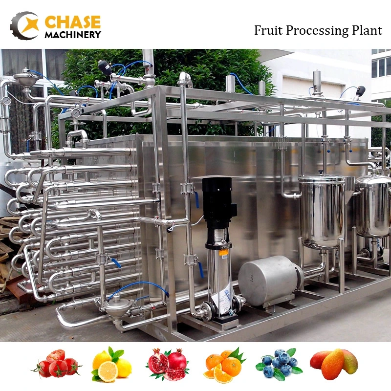 Professional Apple Chips Jam Pulp Juice Production Making Processing Plant