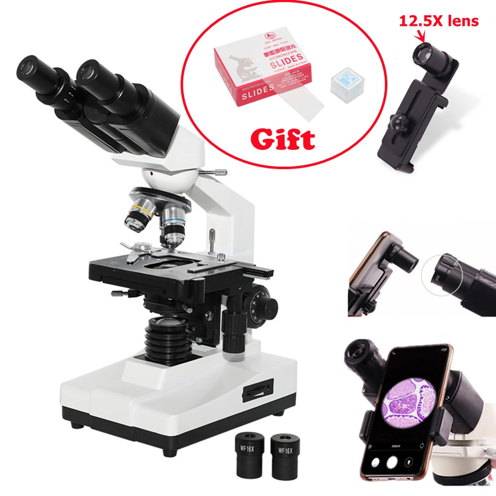 XP202 40X 100X 400X 1000X 1600X Binocular Biological Microscope LED Light Student