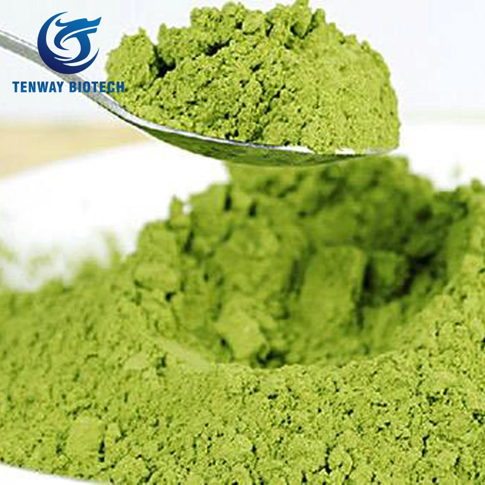 Top Quality Food Ingredient Super Fine Green Tea Powder/ Moccha Powder for Anti-Aging