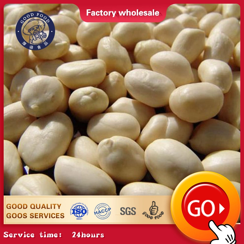 Ex-Factory Price Crop Peanut Kernels/Peanut Kernels with Red Skin/ Raw Peanuts Kernel