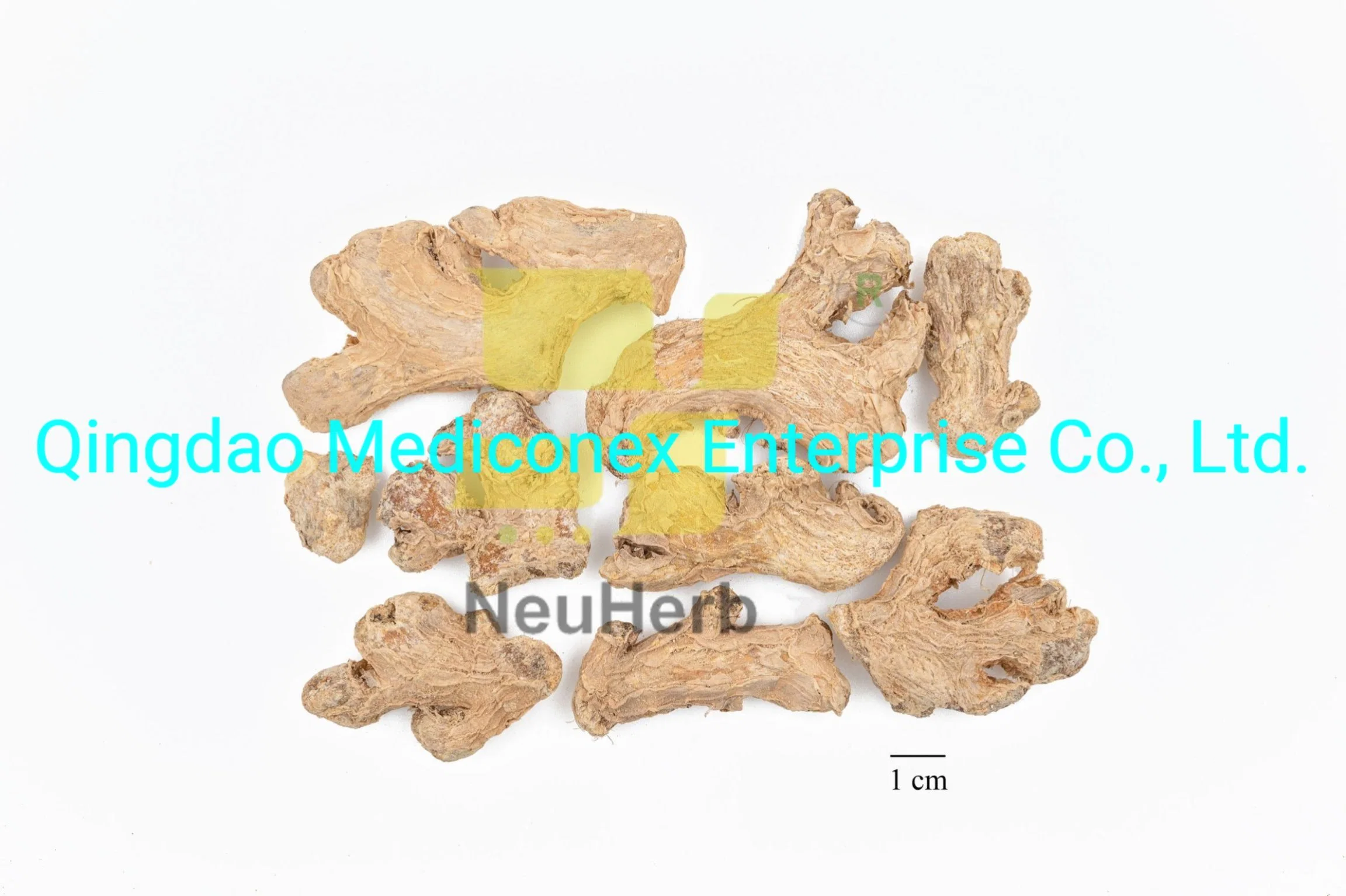 Evodia Rutaecarpa Fruit Prepared Traditional Chinese Herbal Medicine Plant Extract Warm Interior