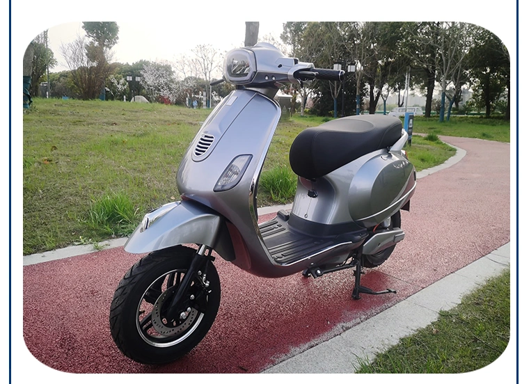 1000W de la fábrica de China no Scooter de movilidad eléctrica plegable Bicicleta de Montaña