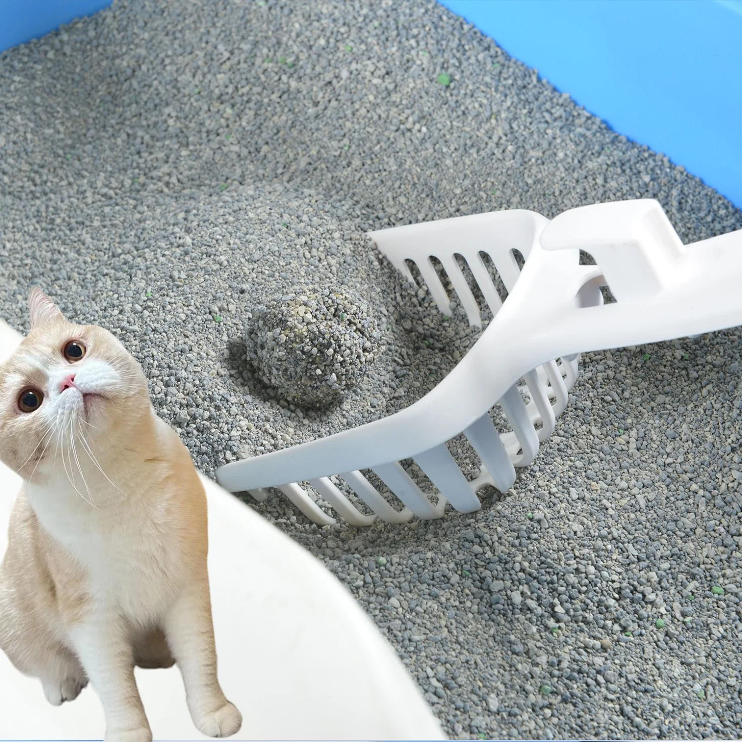 Natural Quickly Clumping and Highly Absorbent Tofu Cat Litter Manufacturer