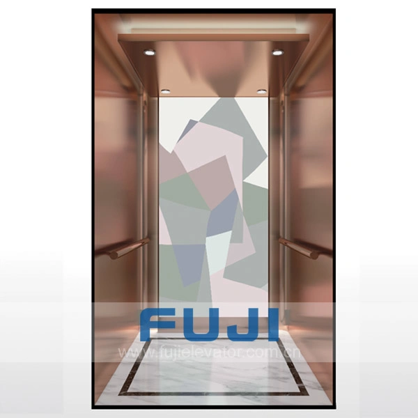 FUJI Good Price Passenger Elevator with Japan Technology