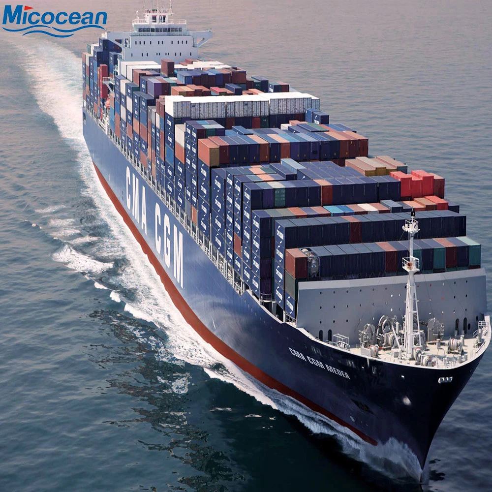 Professional Logistic Service Customs Clearance Sea Shipping From China to Thailand