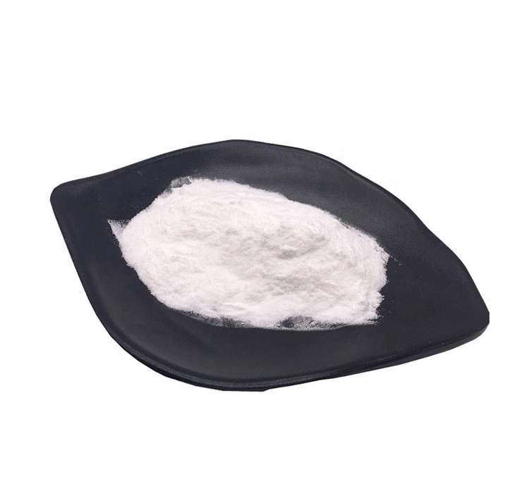 Nutrition Creatine Monohydrate Powder Sport Supplements