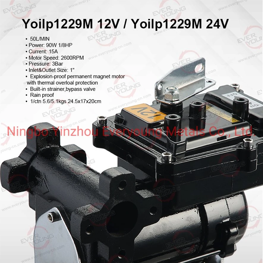 Fuel Transfer Pump 12V DC Gasoline Dispensing Equipment Petrol Transfer Pump