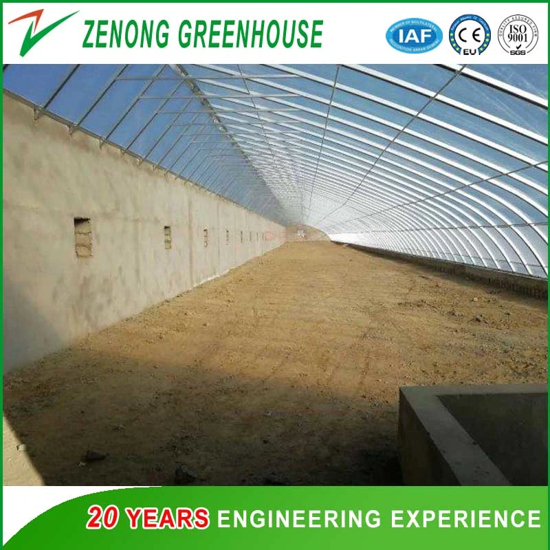 Single Span Small Size Solar Green House for Family Vegetable Cultivation/Farming/Agriculture/Gardening