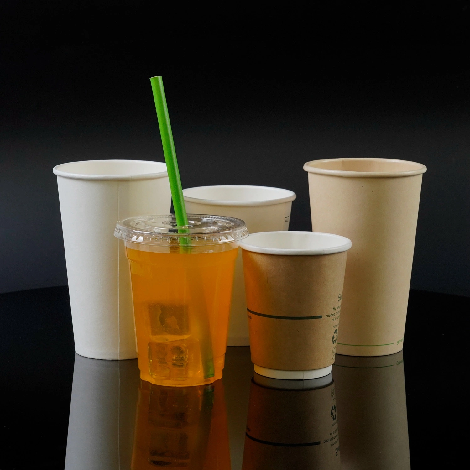 Vaso de papel ecológico biodegradable de 12 oz con revestimiento a base de agua para café/bebidas calientes