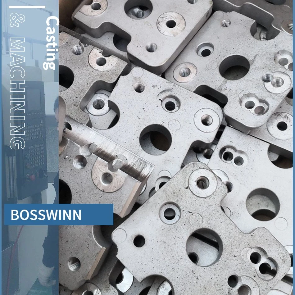 Zhuji Bosswinn entrega rápida Servicio de mecanizado de metales Acero inoxidable personalizado Metal CNC Latha Machining Service
