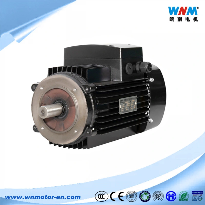 Variable Speed Motor Permanent Magnet Electric Motors