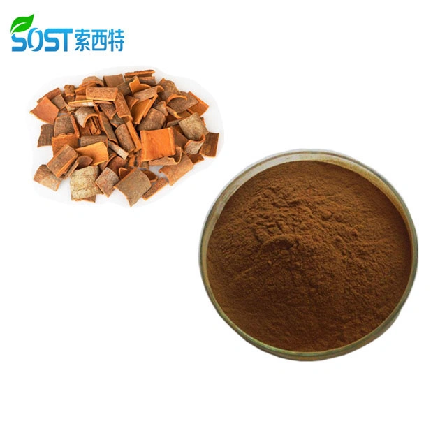 SOST China Manufacturer High Quality Wholesale Ceylon Cinnamon Powder