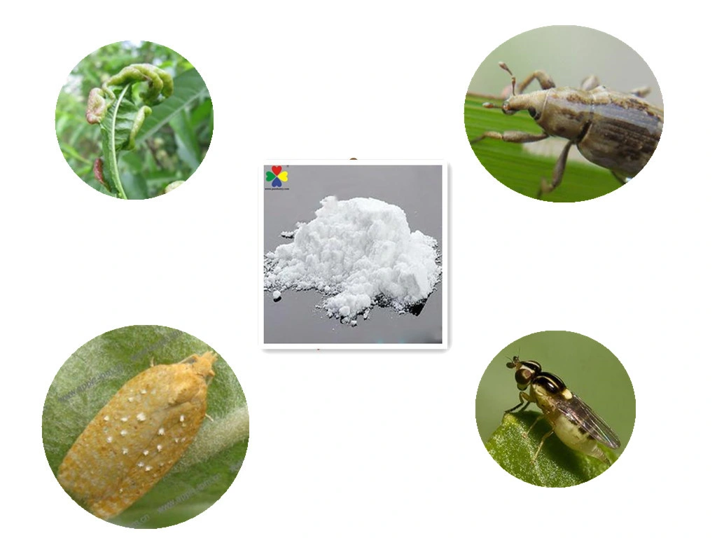 Imidacloprid 95%-98%Tc Insecticide in Agriculture