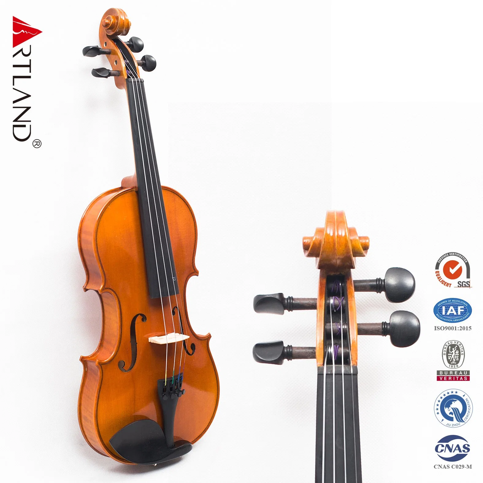 Hand Made Solid Wood Violin (AV50) Advanced Violin