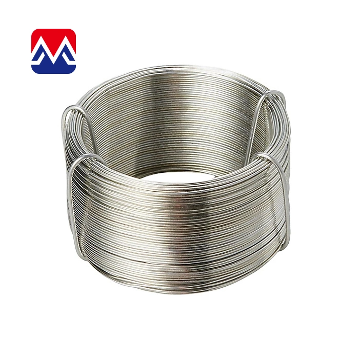 Factory Custom Shape Ss 304 Flat Stainless Steel Wire Shaped Wire for Sale