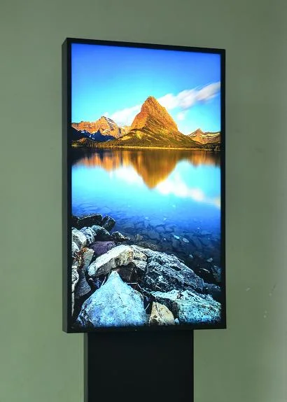 55" High Brightness Double Sided Store Window LCD Digital Signage Display