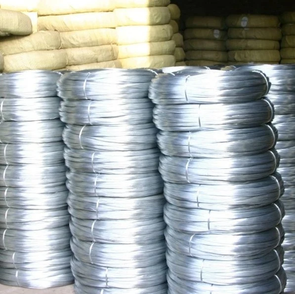 Support Inspection/0.25 0.5 0.7 3.0/Q195 Low Carbon Steel Wire/Galvanized Spring Wire